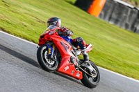 Oulton-Park-14th-March-2020;PJ-Motorsport-Photography-2020;anglesey;brands-hatch;cadwell-park;croft;donington-park;enduro-digital-images;event-digital-images;eventdigitalimages;mallory;no-limits;oulton-park;peter-wileman-photography;racing-digital-images;silverstone;snetterton;trackday-digital-images;trackday-photos;vmcc-banbury-run;welsh-2-day-enduro